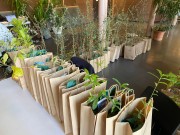 Distribution d'arbres